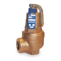 Safety Relief Valve, 2 In, 100 psi, Bronze E513