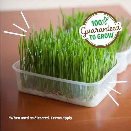 100% Organic 5-Part Salad Seeds 1 Pound Non-GMO R65617