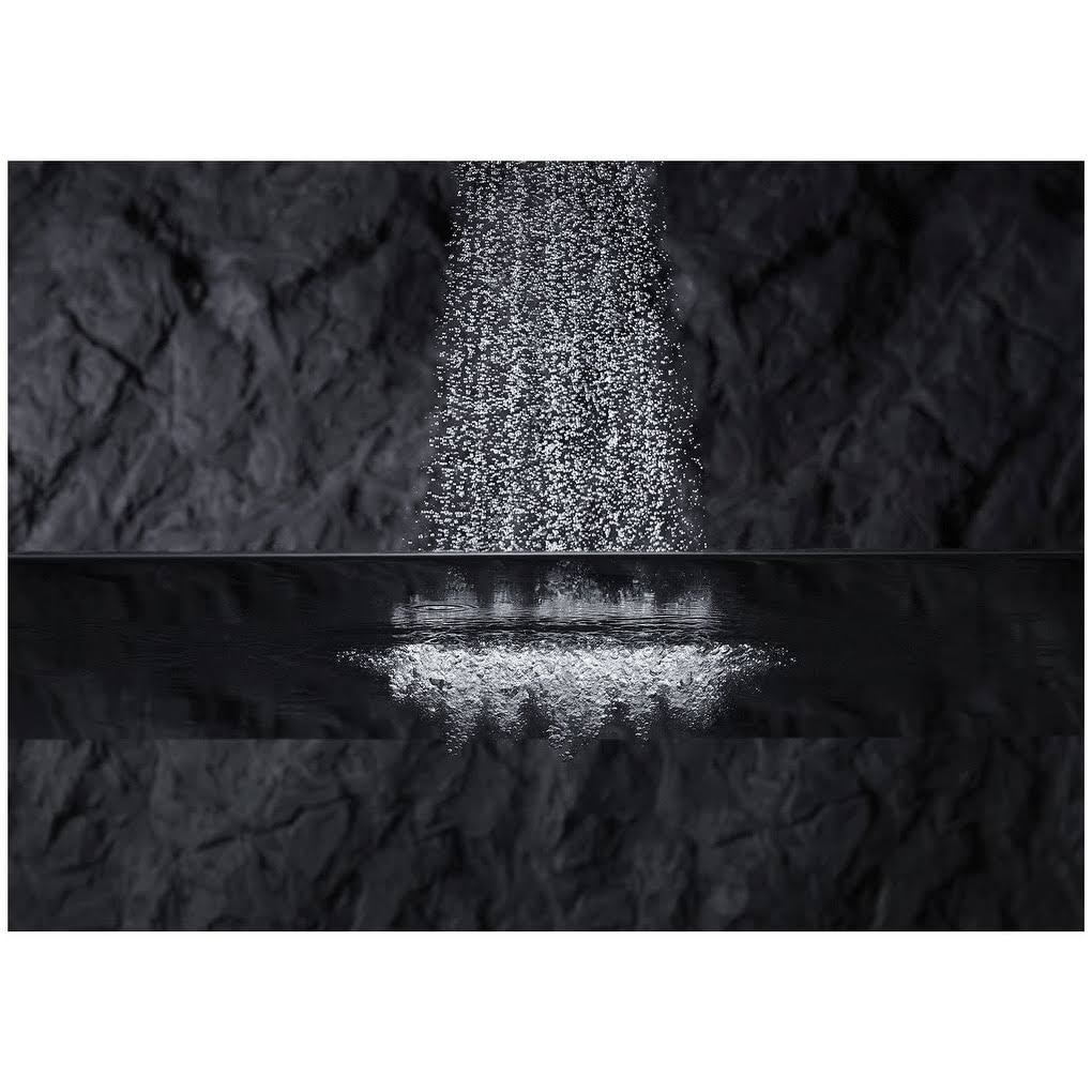 2.5 GPM Single Function Shower Head X496314