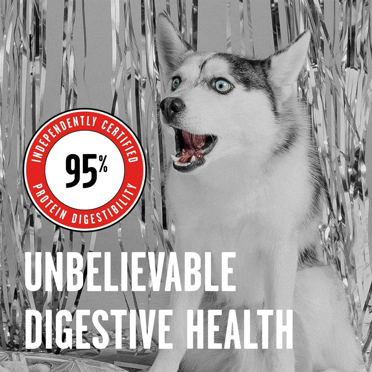 Freeze Dried Beef Dog Food K171964