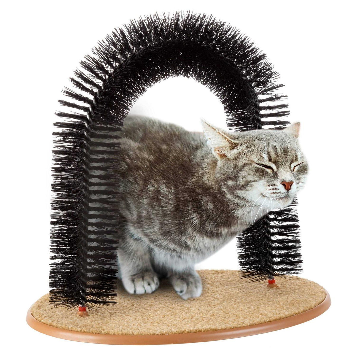 Self Grooming Cat Arch C57333