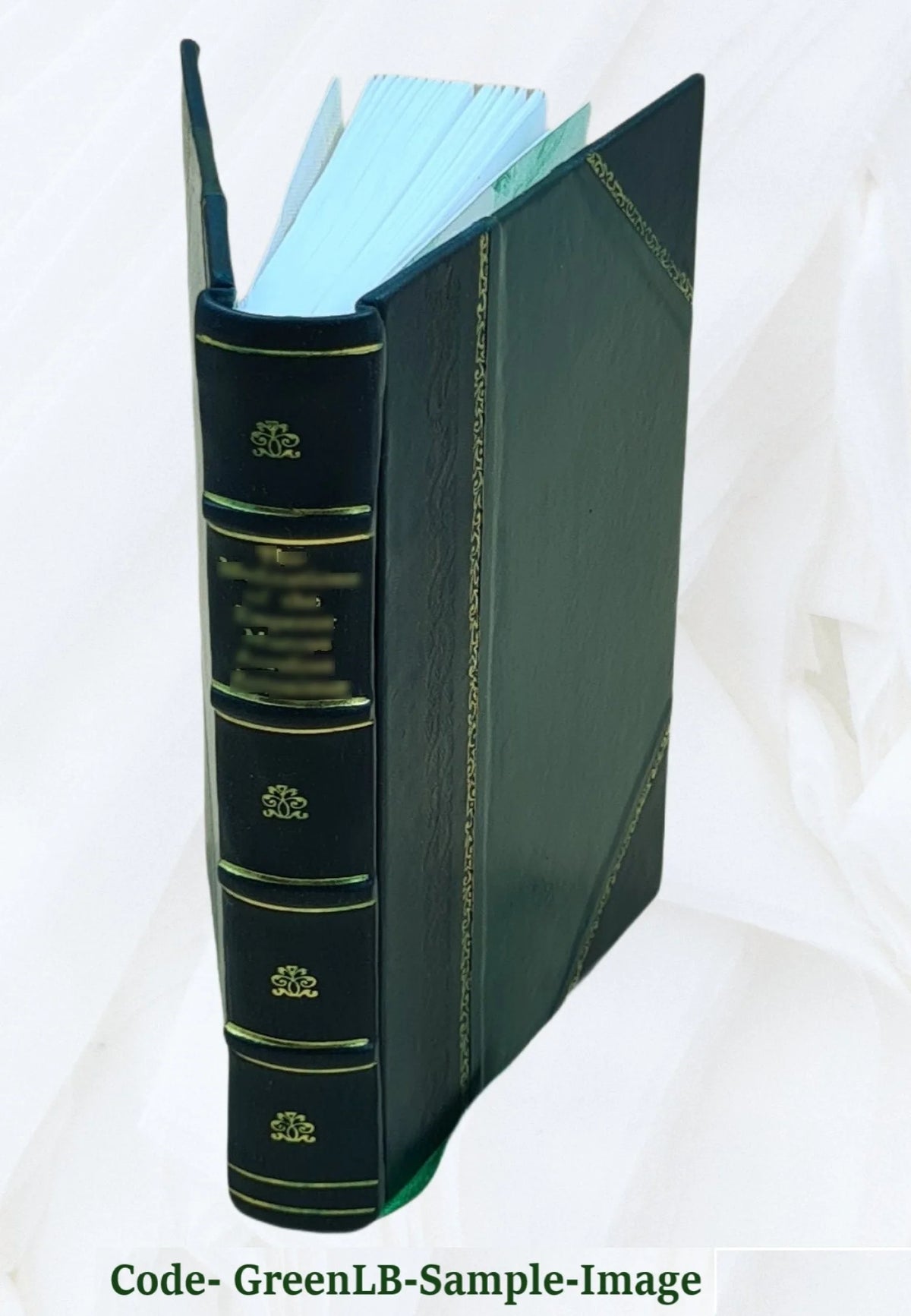 Leather Bound Art Book E371