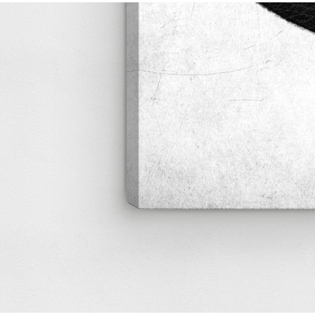 Fashion Football Canvas Art N87265