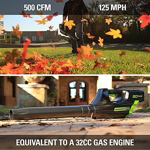 80V Cordless Brushless String Trimmer and Leaf Blower Combo with 2Ah Battery and Charger N6401