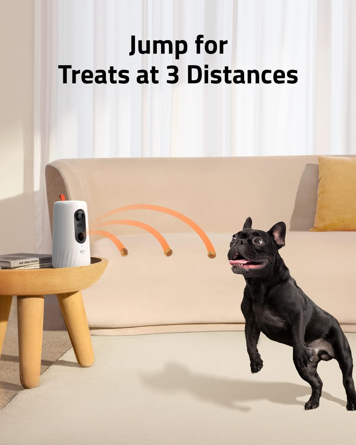1080p Pet Camera with Treat Tossing, Night Vision, 2-Way Audio V87943