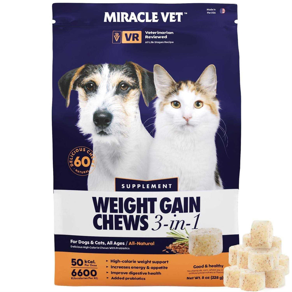 Power Chews for Weight Gain R197