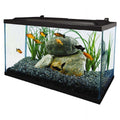 10 Gallon Glass LED Aquarium Kit P665688