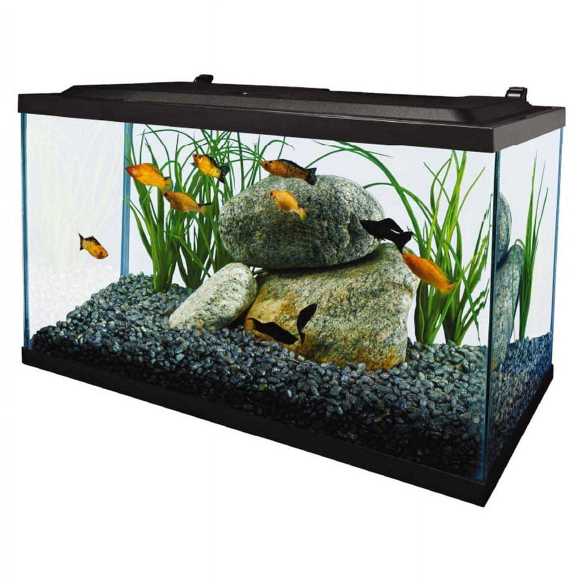 10 Gallon Glass LED Aquarium Kit P665688