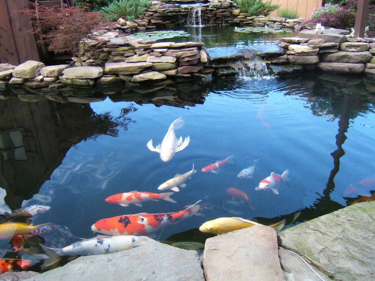10' x 40' Vinyl Tarp 20 oz 22 Mil Waterproof PVC Pond Liner Q455462