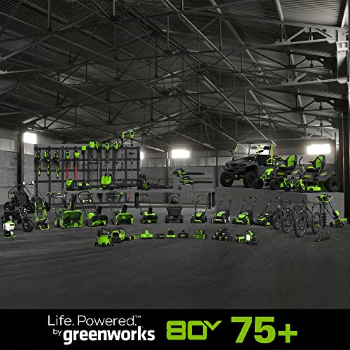 80V Cordless Brushless String Trimmer and Leaf Blower Combo with 2Ah Battery and Charger N6401