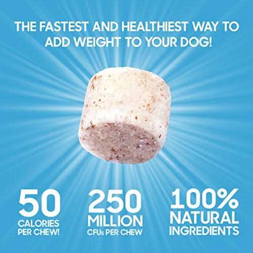 Power Chews for Weight Gain R197