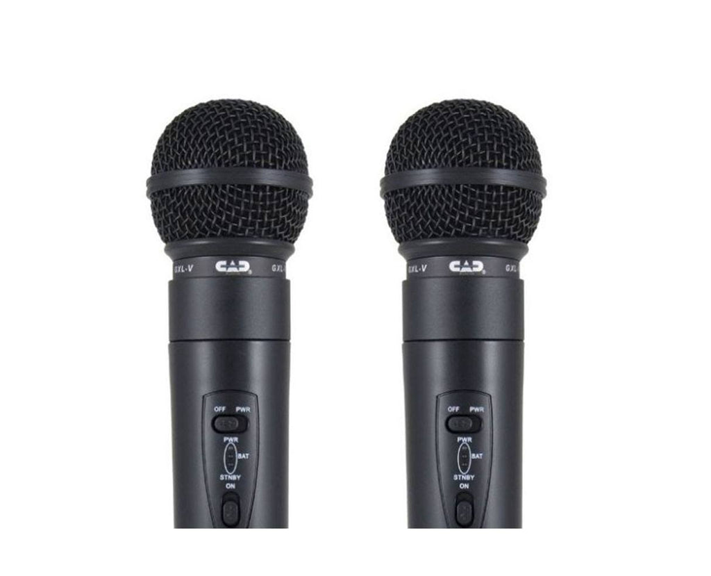 VHF Wireless Dual Dynamic Handheld Microphone System Q464563