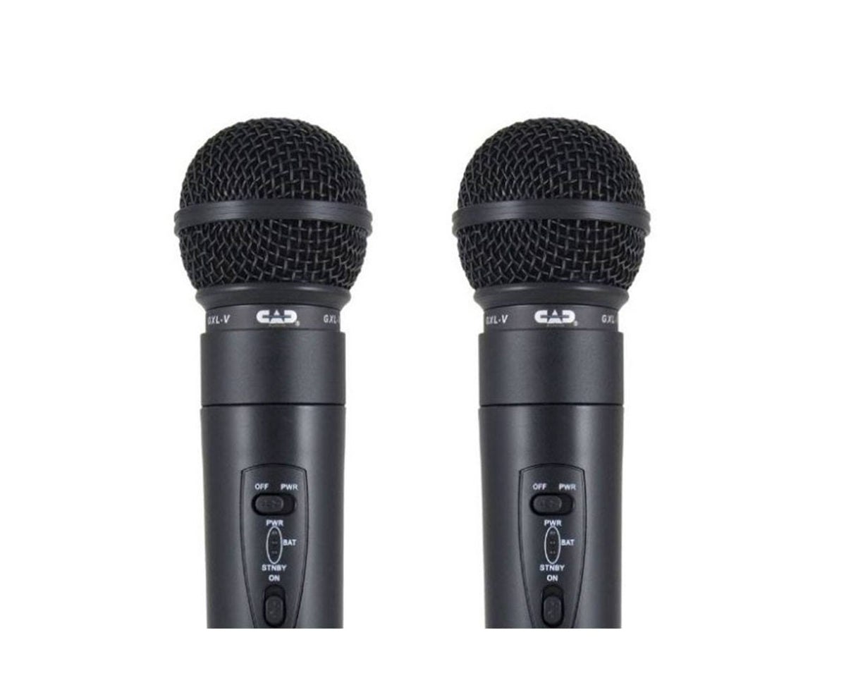 VHF Wireless Dual Dynamic Handheld Microphone System Q464563