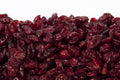 Dried Cranberries 25 Pound CASE B89600