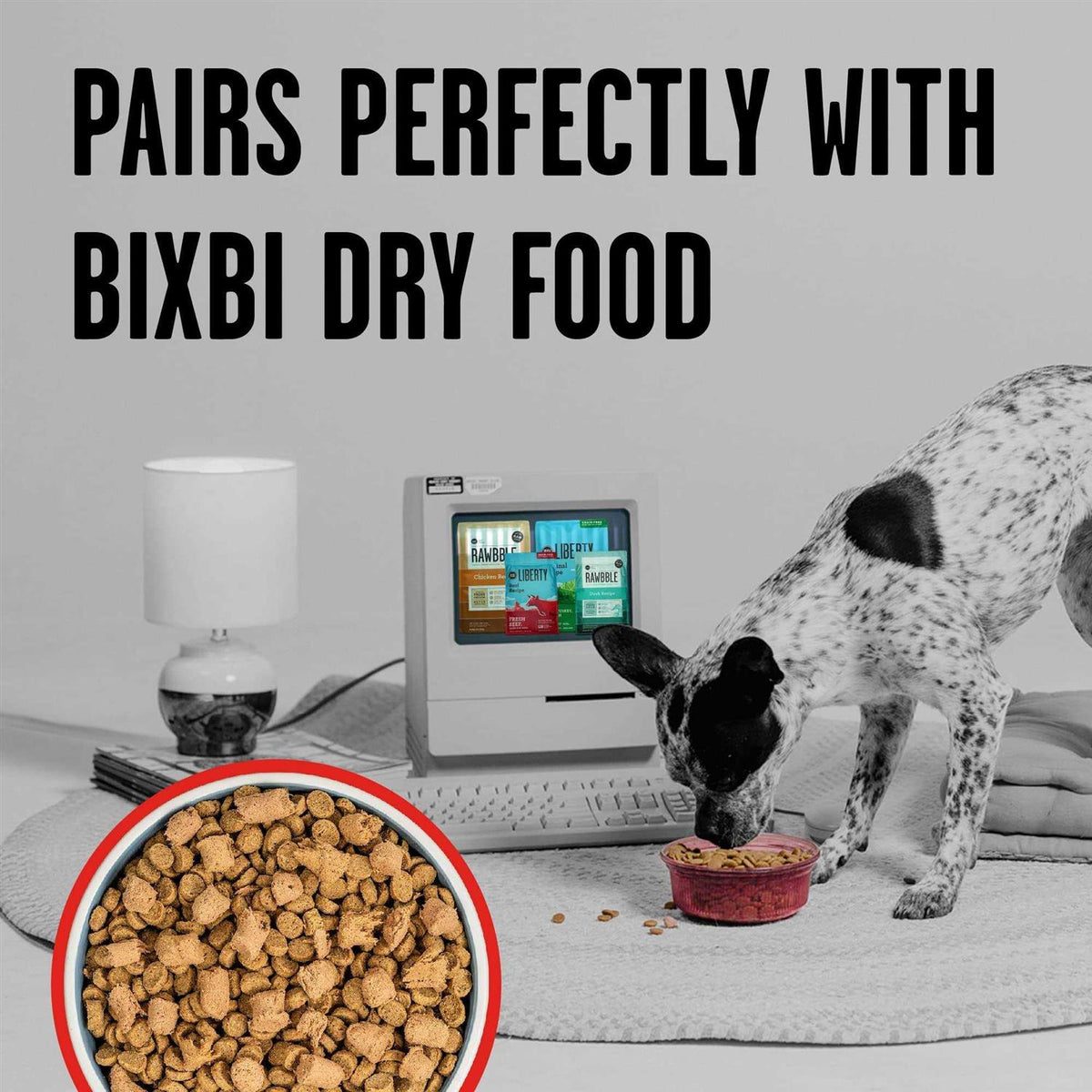 Freeze Dried Beef Dog Food K171964