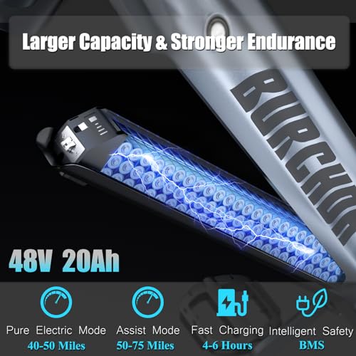 1000W 48V 30AH 26''x4.0 Inch Fat Tire Full Suspension Electric Bike B79308