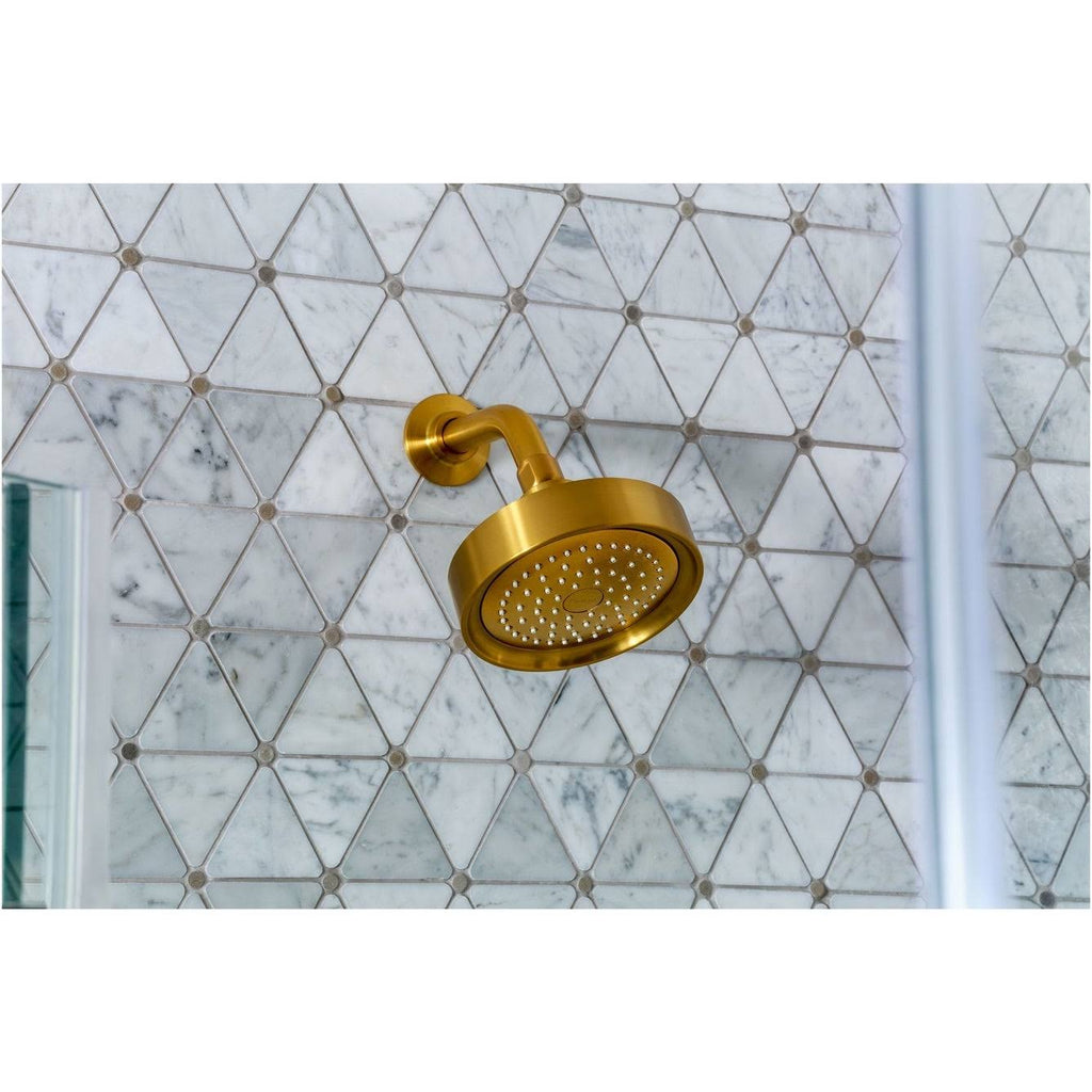 2.5 GPM Single Function Shower Head X496314