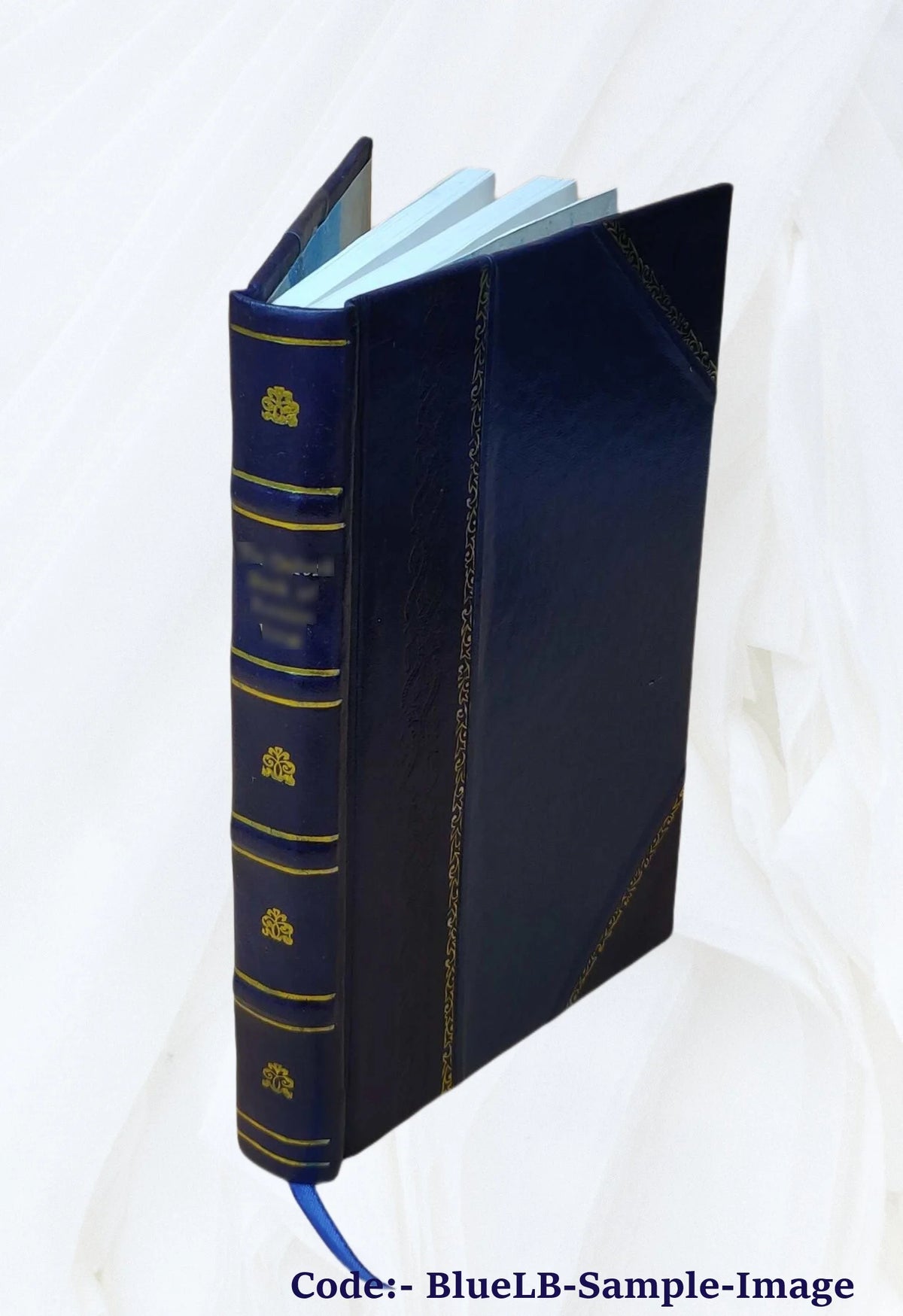 Leather Bound Art Book E371