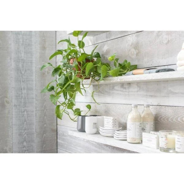 1 in. x 4 in. x 6 ft. Barn Wood Pine Board White Wash (6 per Box) X566