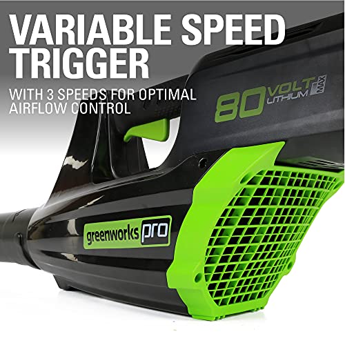 80V Cordless Brushless String Trimmer and Leaf Blower Combo with 2Ah Battery and Charger N6401