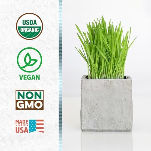 100% Organic 5-Part Salad Seeds 1 Pound Non-GMO R65617