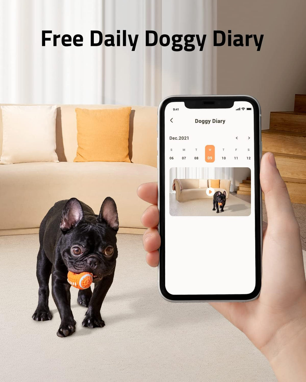 1080p Pet Camera with Treat Tossing, Night Vision, 2-Way Audio V87943