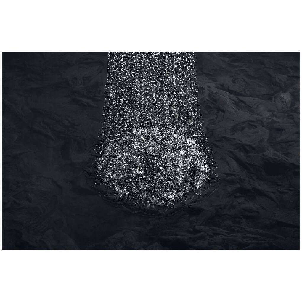 2.5 GPM Single Function Shower Head X496314
