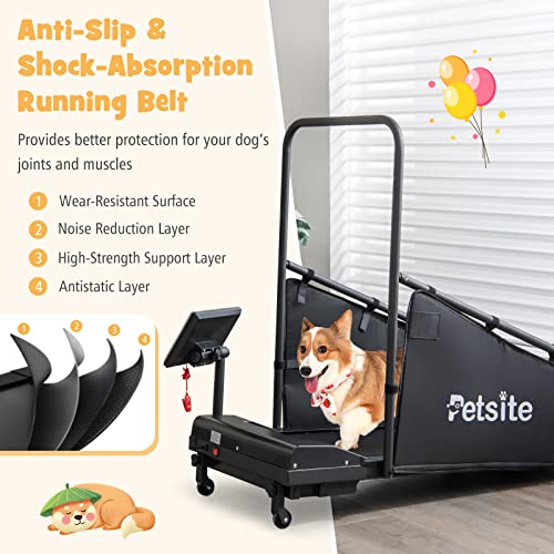Dog Treadmill with LCD Display Screen, 220 LBS U956038
