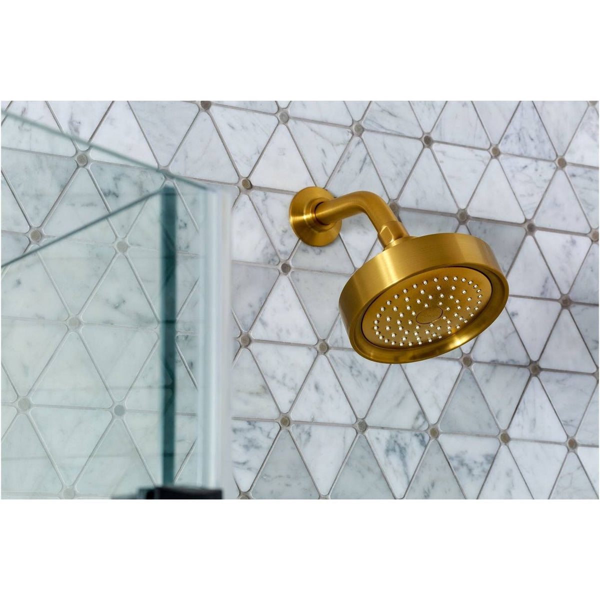2.5 GPM Single Function Shower Head X496314