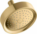 2.5 GPM Single Function Shower Head X496314