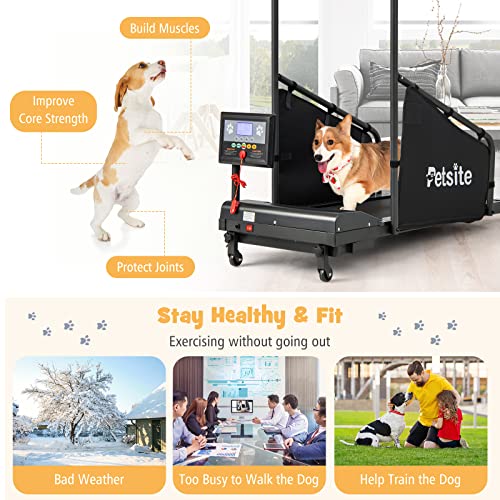 Dog Treadmill with LCD Display Screen, 220 LBS U956038