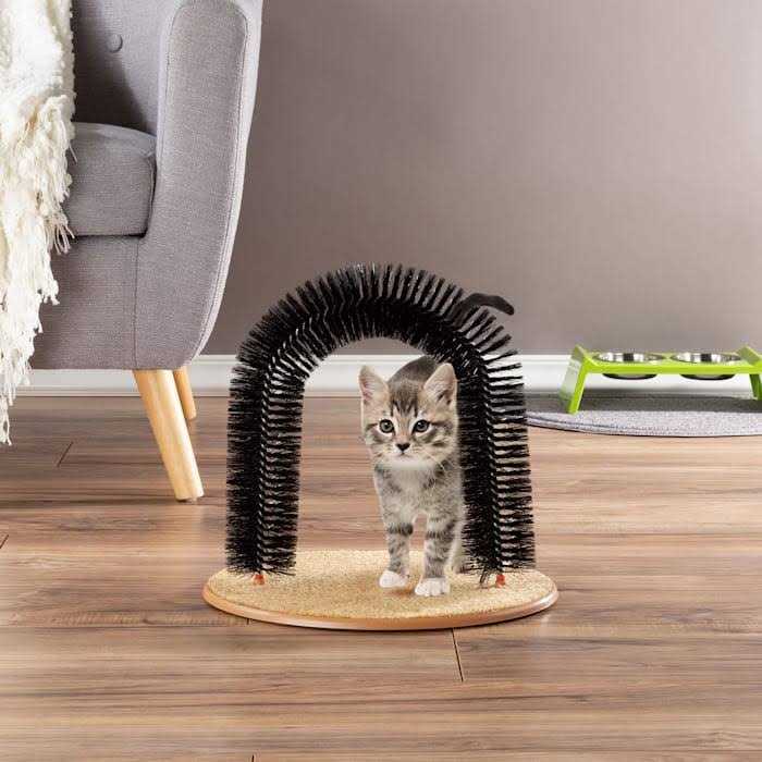 Self Grooming Cat Arch C57333