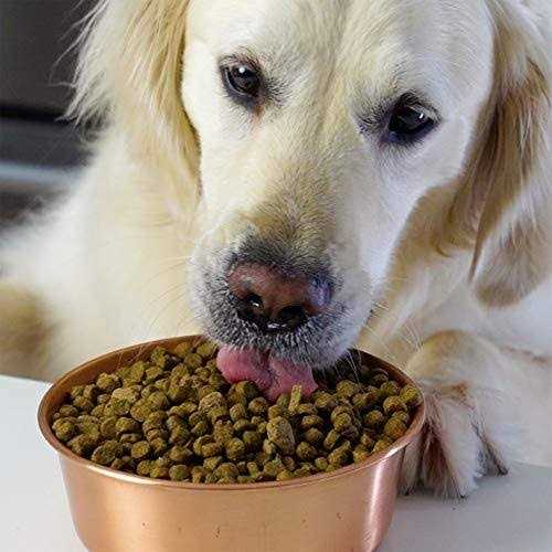 Pasture Raised Lamb Ancient Grains Dry Dog Food Q64915