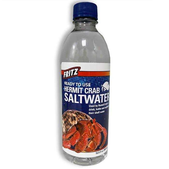 Hermit Crab Salt Water Y881