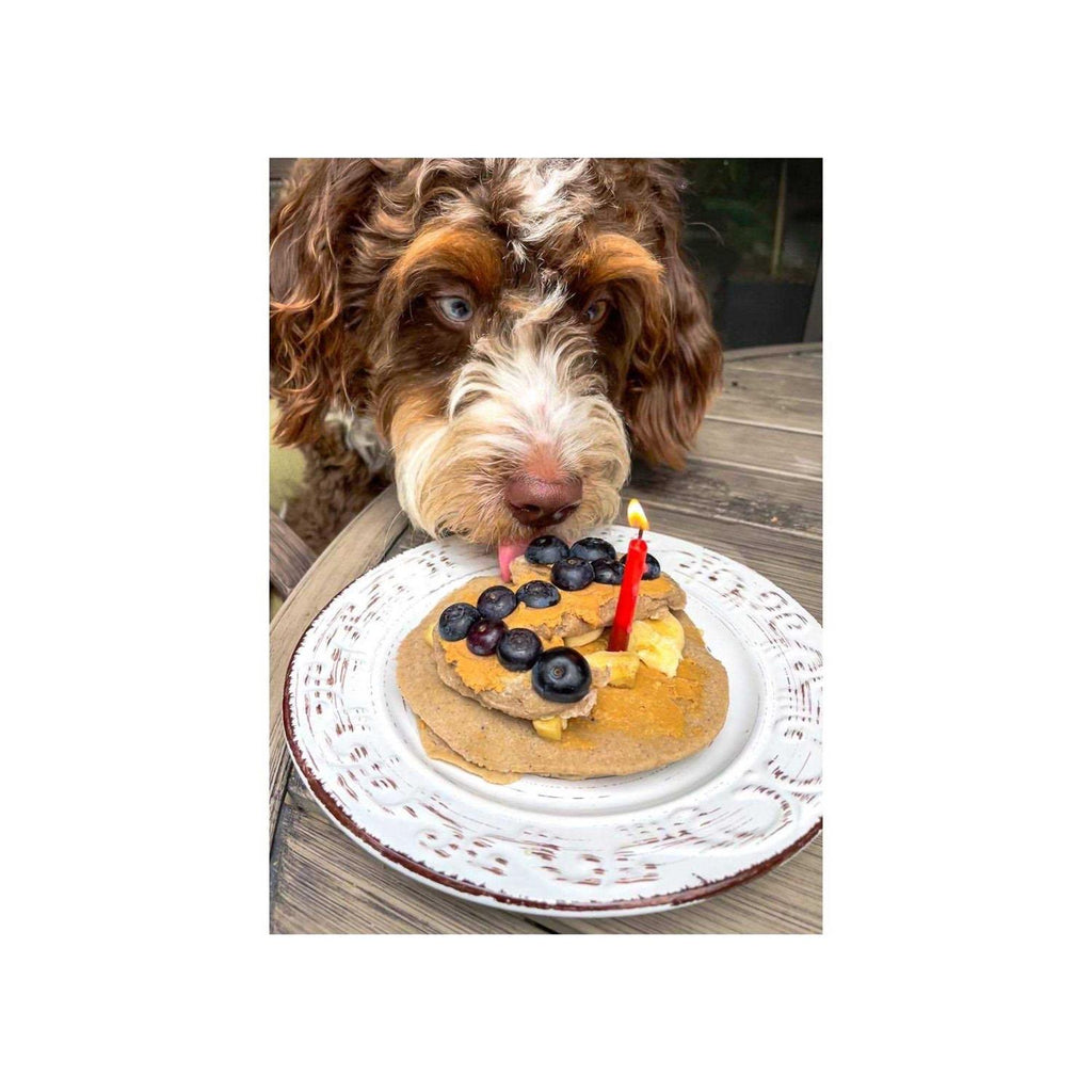 Pancakes B8269