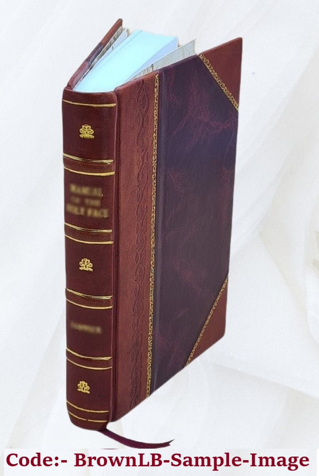 Leather Bound Art Book E371