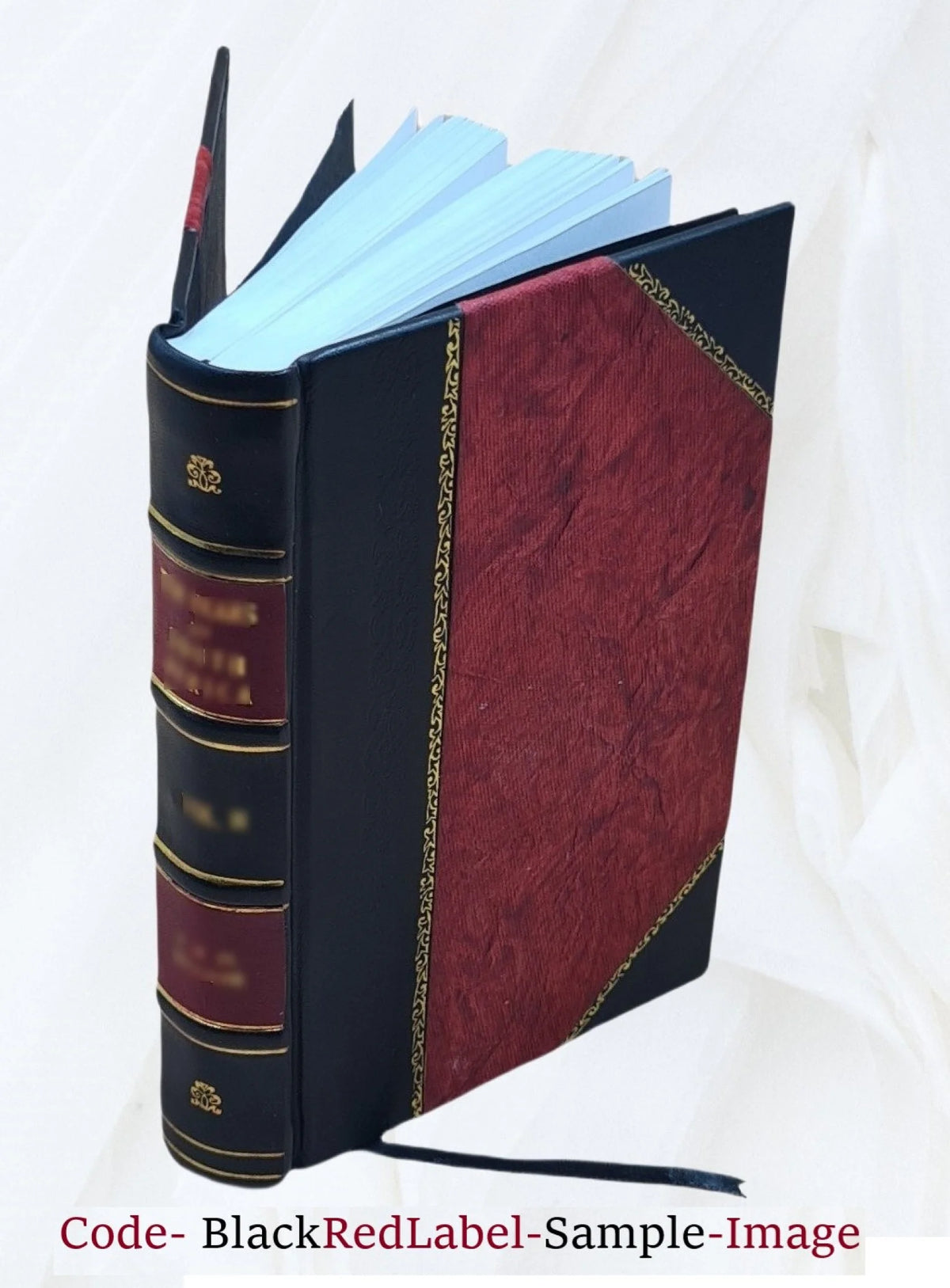 Leather Bound Art Book E371