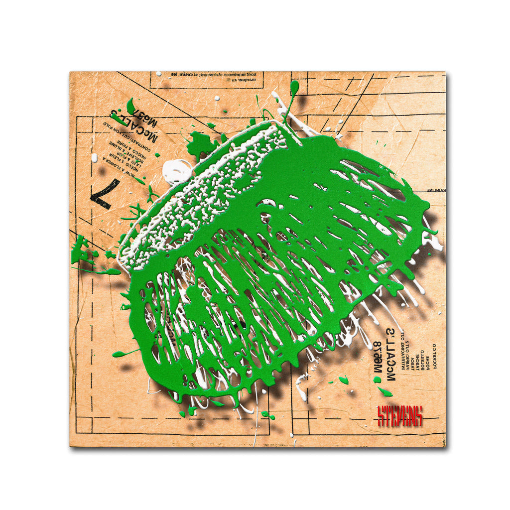 'Snap Purse Green' Canvas Art Q74487
